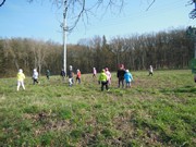 Ukliďme Česko - ukliďme cestu do lesa